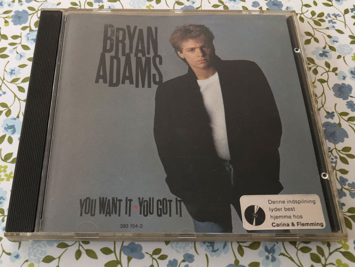 Bryan Adams You Want it you got it