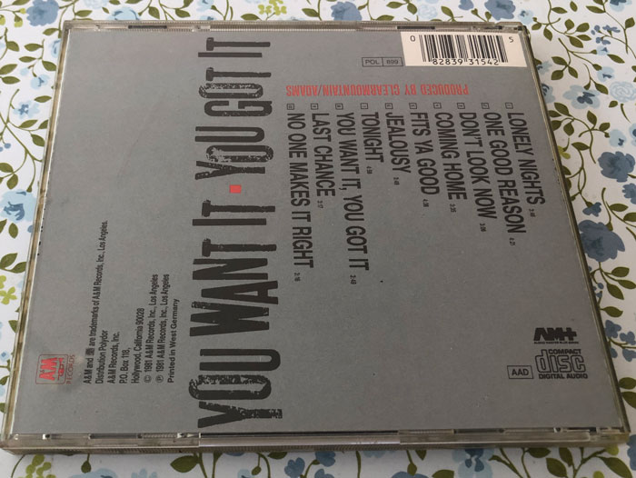 Bryan Adams You Want it you got it