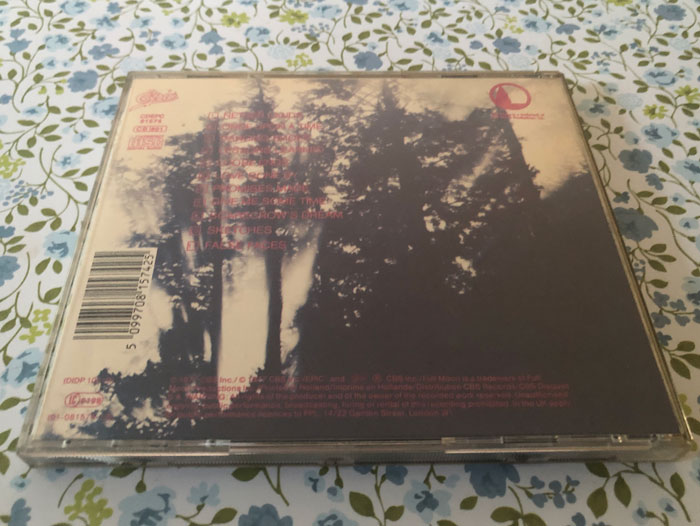 Dan Fogelberg Nether Lands