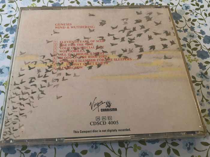 Genesis wind & wuthering