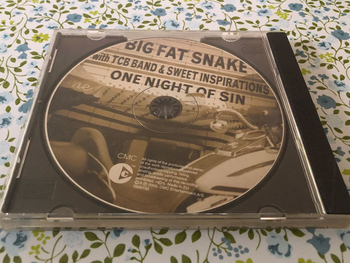 Big fat snake One night of sin