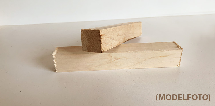 Hasselnød pen blank