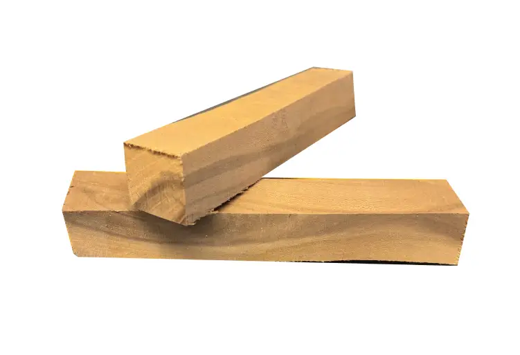 pen blank blomme træ