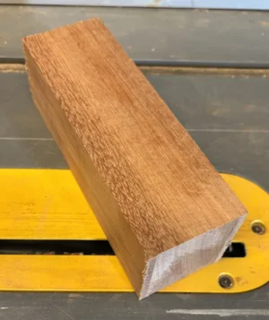 Pachyloba 185 x 66 x 60